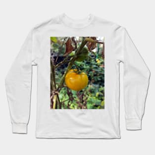 Yellow tomato Long Sleeve T-Shirt